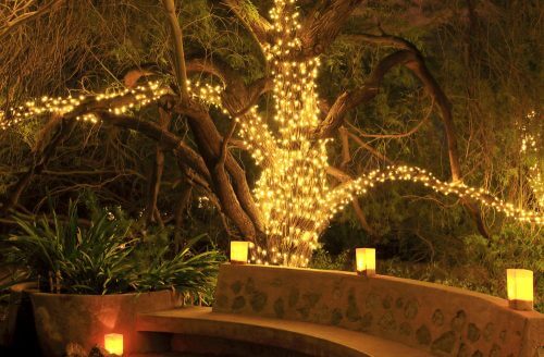 은은한 분위기의 조명으로 연출한 휴식 공간