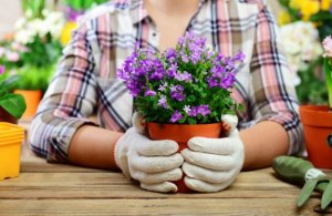 조약돌로 화분 장식하기