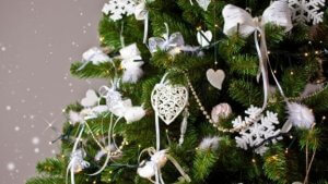 크리스마스 트리 제대로 고르기