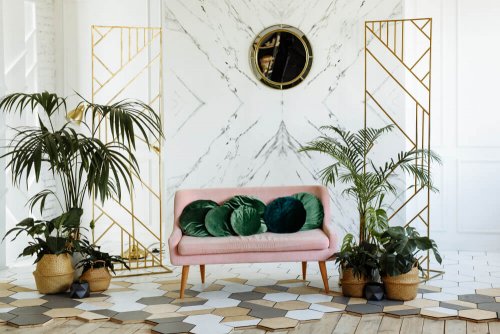 야자나무를 활용한 인테리어 비결