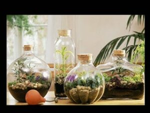 '유리병 속 작은 정원'이란 무엇인가?