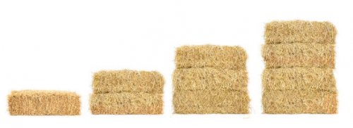 버섯은 보통 짚단에서 키운다