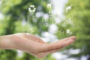 환경을 보호하는 지속 가능 인테리어