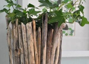 드리프트우드: 트렌디하고 친환경적인 소재 화분
