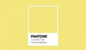 팬톤컬러-7