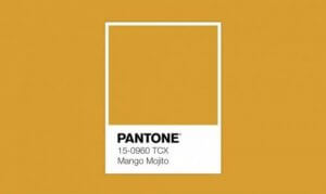 팬톤컬러-10
