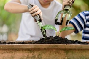 완벽한 가족 활동