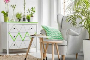 완벽한 식물과 꽃 조합 만드는 방법을 알아보자