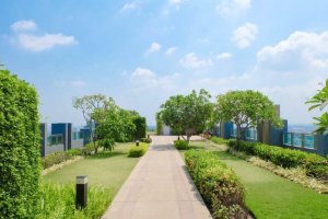 녹색 지붕의 설치 및 이점에 관해 알아보자