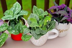 오래된 머그잔의 재활용