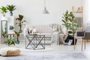 멋진 모습을 유지하기 위한 기본 식물 관리!