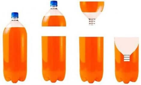 집에서 곤충을 제거하기 위한 5가지 해결책