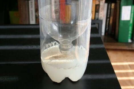 파리를 물리치기