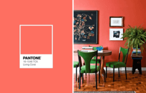 코랄: 따뜻함과 섬세함을 담은 색상